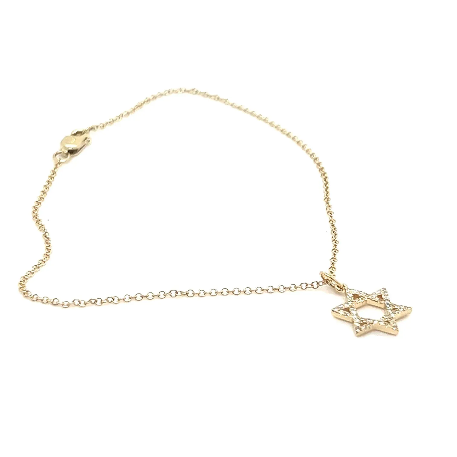 14kt Yellow Gold Pav Jewish Star Charm with Diamonds